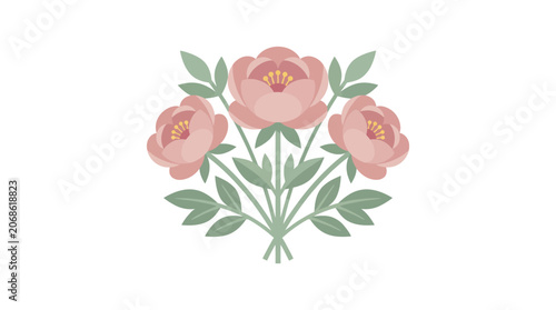 Elegant Pink Peony Flowers with Green Leaves, Delicate Floral Illustration, White Background