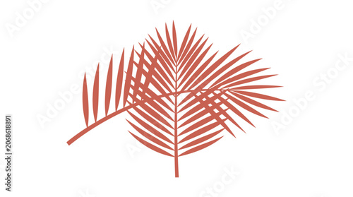 Minimalist Terracotta Palm Fronds on White Background