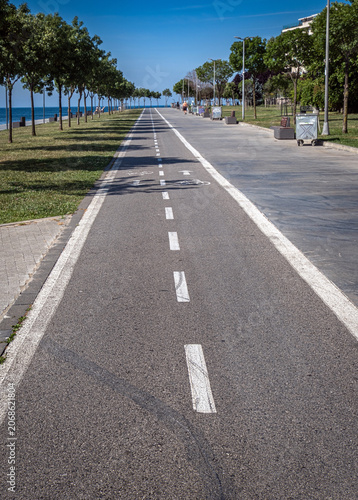 A bicycle and walking path within the city, among trees and lawns. Bicycle sign or icon on the road. moda beach. kadikoy, istanbul. turkey.