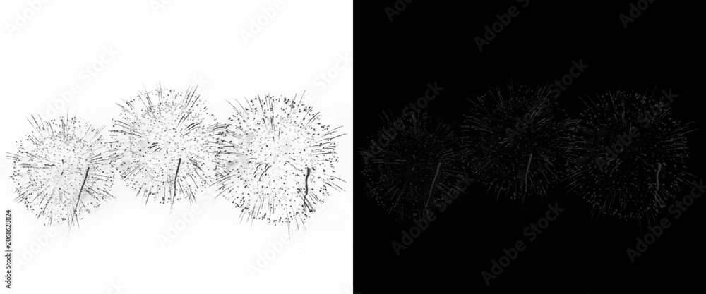 Obraz premium Minimalist dandelion seed heads on white background, delicate floral macro photography, ethereal nature details for clean organic design