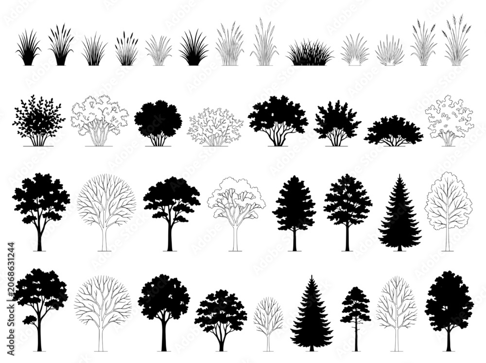 Fototapeta premium Black and White CAD Block Collection of Various Trees and Plants for Architectural Design and Landscape Planning