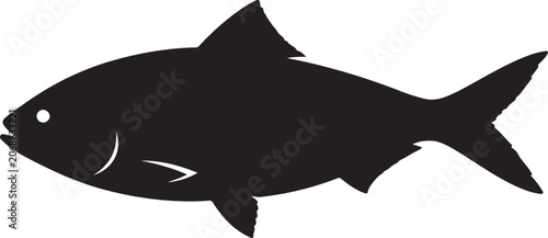 hilsa vector