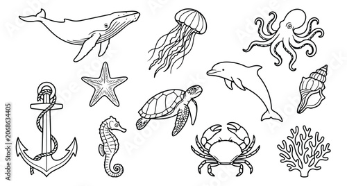 Fotografie Oceanic marine life vector collection, hand-drawn sea creatures and nautical ele