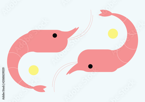 Photography shrimp