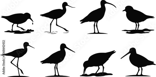 Bild auf Leinwand Shorebird Silhouette Collection Depicting Wading Birds in Natural Feeding and St
