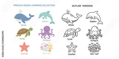Photography Premium ocean learning collection educational illustrations