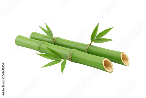 Fresh green bamboo stems isolated on transparent background