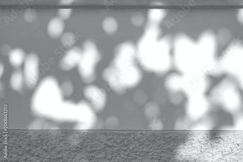 Light and shadow, showcasing the dappled sunlight filtered through palm fronds onto a textured, light-colored surface. Natural leaf shadows on white wall for background design for text. 