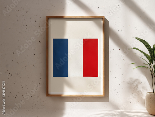 French tricolor flag artwork hanging on wall