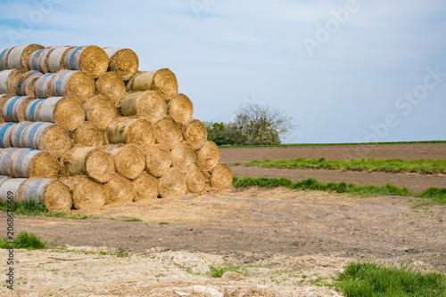 A stack of round hay bales in a rural field. The bales are cylindrical and golden, set against a clear blue sky and green grass.