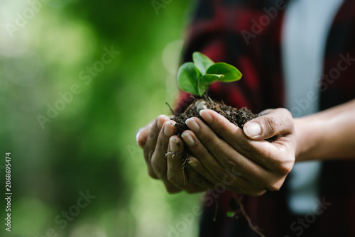 Φωτογραφία Hands gently holding a young green seedling with fertile soil, symbolizing environmental conservation, sustainable development, growth, hope, and a commitment to a greener future