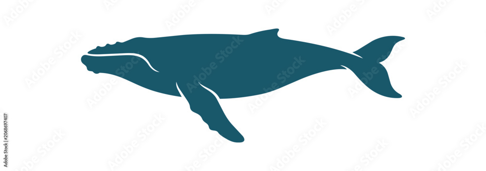 Fototapeta premium Silhouette of a majestic humpback whale swimming gracefully in the ocean.