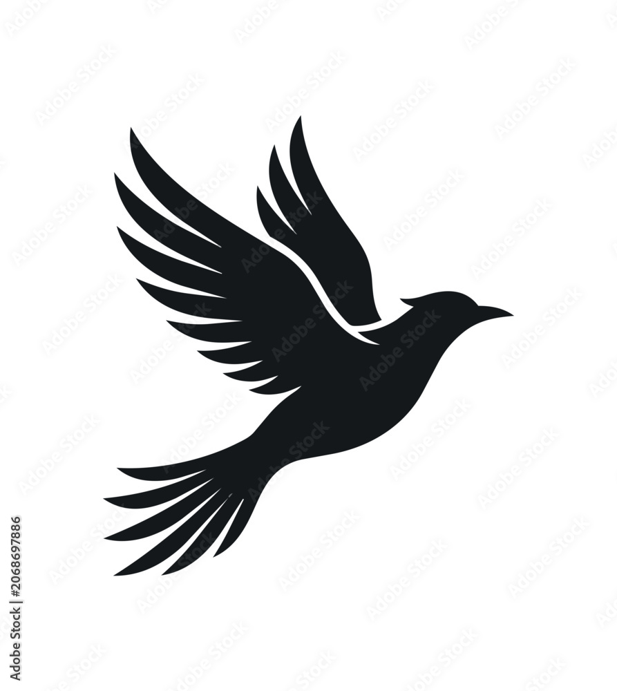 Fototapeta premium Silhouette of a Bird in Flight with Wings Spread Wide.
