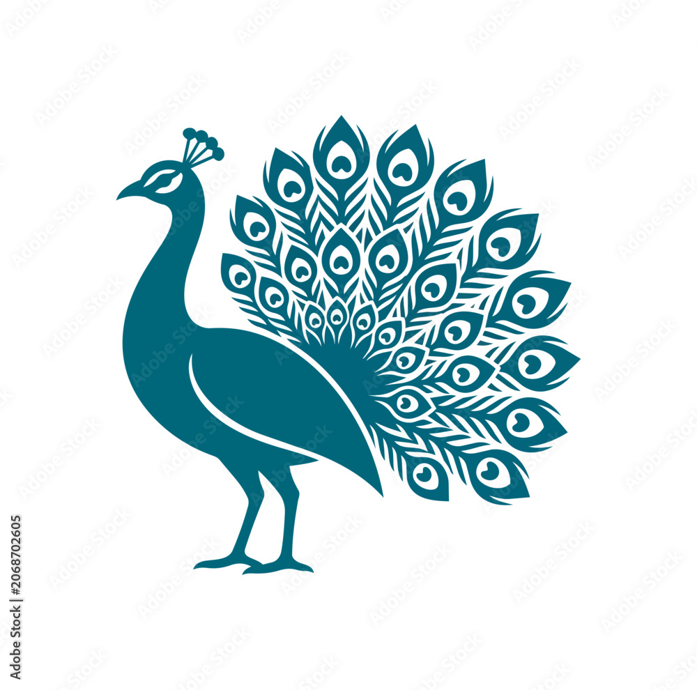 Fototapeta premium Elegant Teal Peacock Displaying Its Magnificent Plumage.