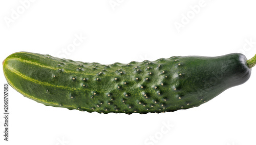 Fotografie Green bumpy cucumber with yellow stripes and stem