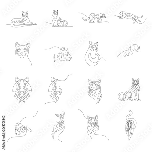 Continuous Line Art Tiger Set - Minimalist Wild Big Cat Outline Illustrations in Various Poses