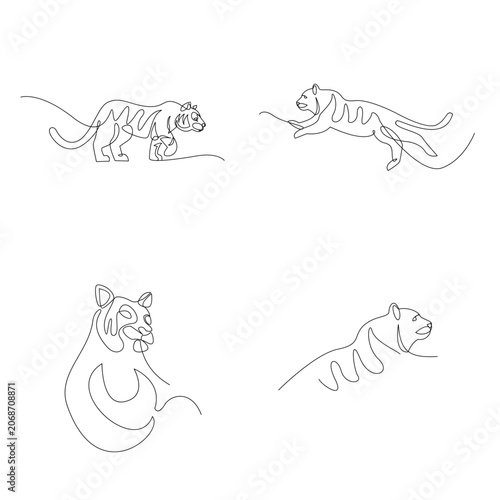 Minimalistic one line tiger drawings set, abstract continuous line art of big cats in various dynamic poses.