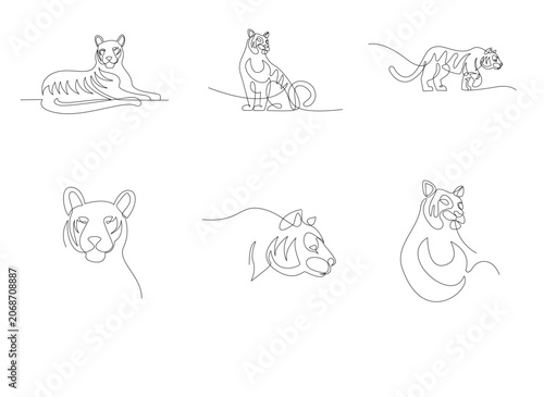 Continuous Line Art Tigers Set: Minimalist Black and White Vector Illustrations of Big Cats in Various Poses