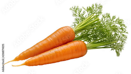 Foto Two fresh orange carrots with green leafy tops