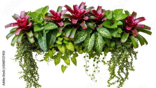 Bild auf Leinwand Assortment of lush green houseplants with vibrant pink bromeliads