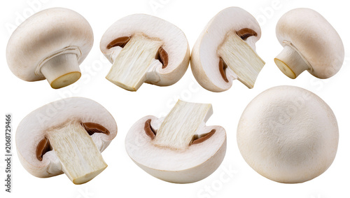 Obraz na płótnie White button mushrooms whole and halved, showing gills and stem