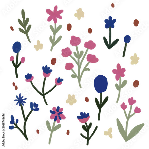 Colorful Wildflowers Botanical Illustration PNG for Printable Projects, Nursery Wall Art and Home Decor Poster