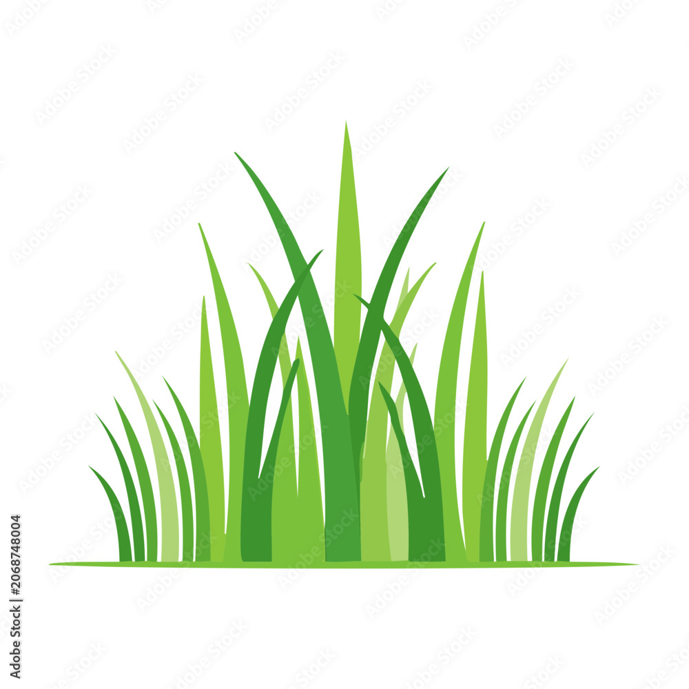 Fototapeta premium Flat design green grass illustration