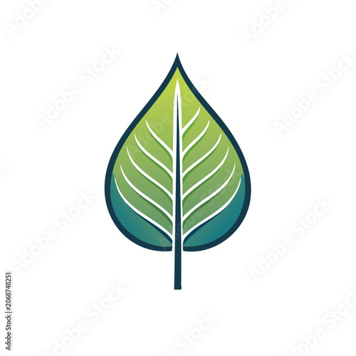 Green leaf vector illustration with veins and stem