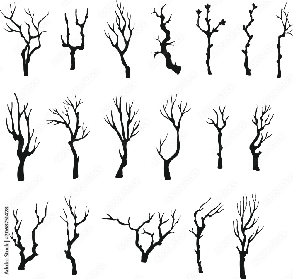 Fototapeta premium Leafless Tree Silhouettes Collection for Winter Forest, Dead Tree and Nature Design