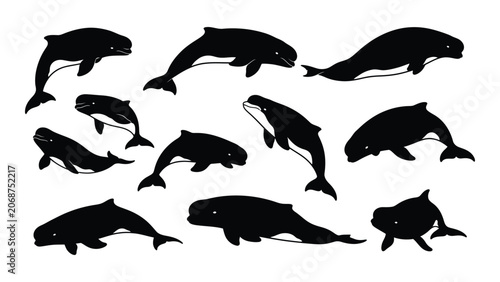 Obraz na płótnie Black silhouettes of various whales and dolphins