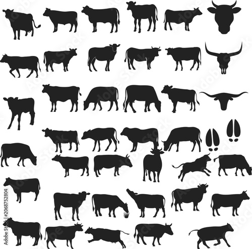Slika na platnu Cattle Silhouettes Collection Cow Bull Calf Livestock and Ranch Animal Shapes