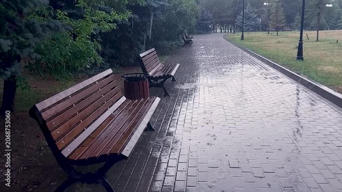 Wooden park bench on a wet paved path during a rain shower, surrounded by green trees. Solitude, rainy weather, urban nature, peaceful atmosphere