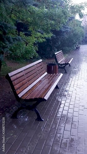 Wooden park bench on a wet paved path during a rain shower, surrounded by green trees. Solitude, rainy weather, urban nature, peaceful atmosphere