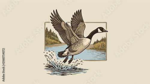 Vintage wild Canada goose taking flight from a lake with water splash and forest background, retro graphic illustration for outdoor hunting apparel