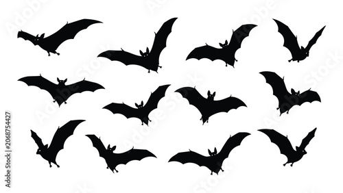 Bild auf Leinwand Black bats flying in a flock
