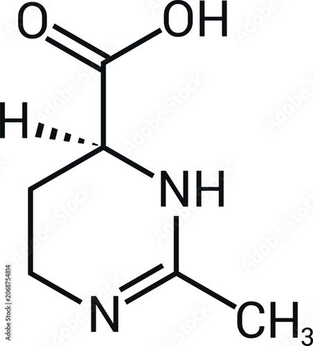 Фотография L Histidine Chemical Structure Essential Amino Acid Molecule Diagram