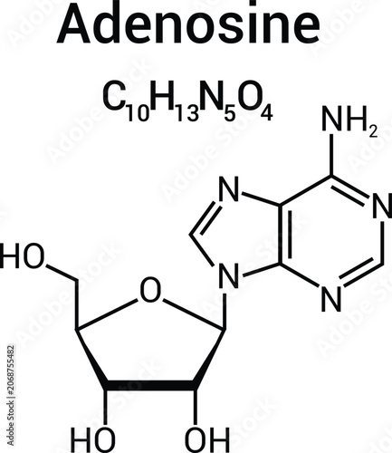Canvas Print Adenosine Chemical Structure Purine Nucleoside Molecule Formula Diagram