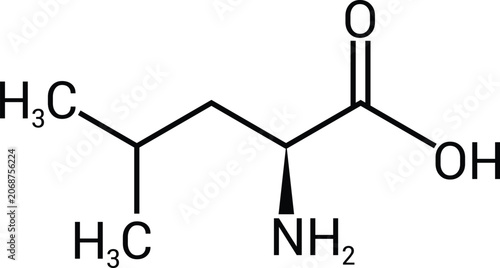Obraz na płótnie L Leucine Chemical Structure Essential Amino Acid Molecule Diagram