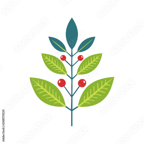 Flat illustration of a holly branch with berries