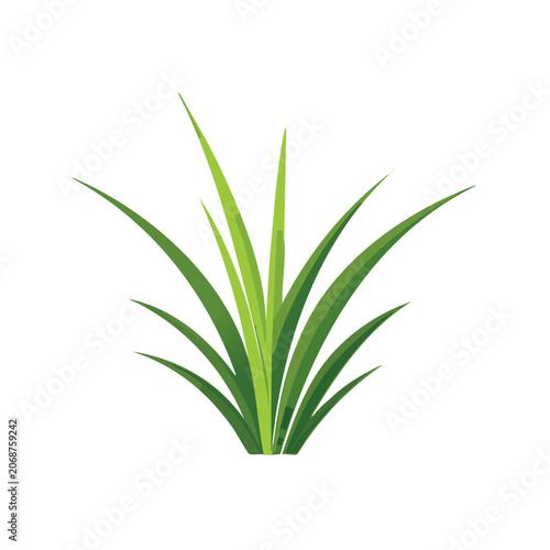 Flat illustration of green grass