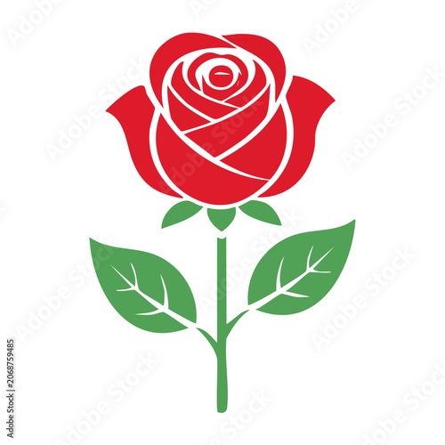 Red rose with green leaves vector illustration