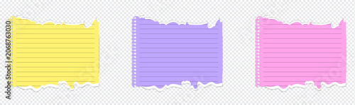Fotografía Set of Colorful paper notes with spiral binding and torn paper edges, note paper