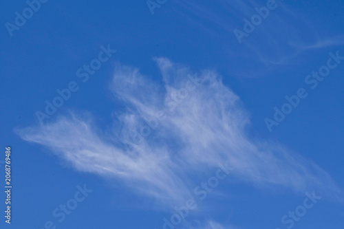 Photos A wide shot of a vibrant blue sky filled with delicate, wispy cirrus clouds resembling brush strokes or feathery wings