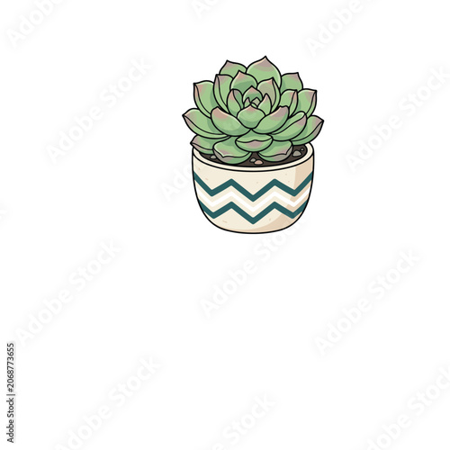 Vector illustration of a green succulent plant in a decorative pot with zigzag pattern