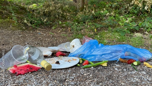 Plastic Waste and Food Trash Dumped in Forest