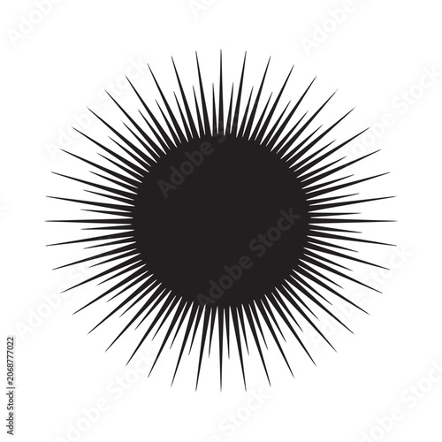 Starburst silhouette shape on a white background
