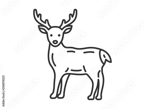 エゾシカ（線画）のイラスト