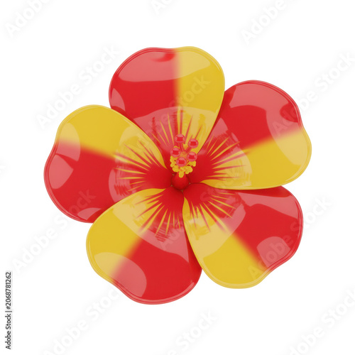 Vibrant Bi-Colored Hibiscus Flower with Detailed Stamen