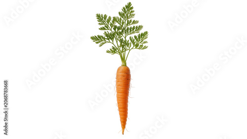 Schilderij op canvas Fresh orange carrot with green leafy top, isolated on transparent background
