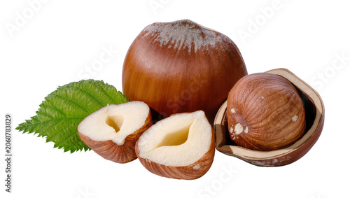 Konstfotografi Whole and halved hazelnuts with green leaf